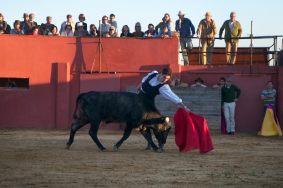 Alexander bullfighting before an exceptional public Behind him in the 'hide', Don Enrique Moreno de la Cova, owner of the 'brand' Saltillo, next to him the legendary breeder of bulls Antonio Miura, the bullfighter Abraham Neiro, the matadors Eduardo Dávila Miura and Rafaelillo. In the audience, his parents in the centre, next to Marquesa of Las Torres de la Prensa, the Duke and Duchess of Segorbe - the Princess Maria da Glória of Orléans-Braganza and Borbón of the Two Sicillies - the Marquis of Caltojar, the Count of Ybarra among others